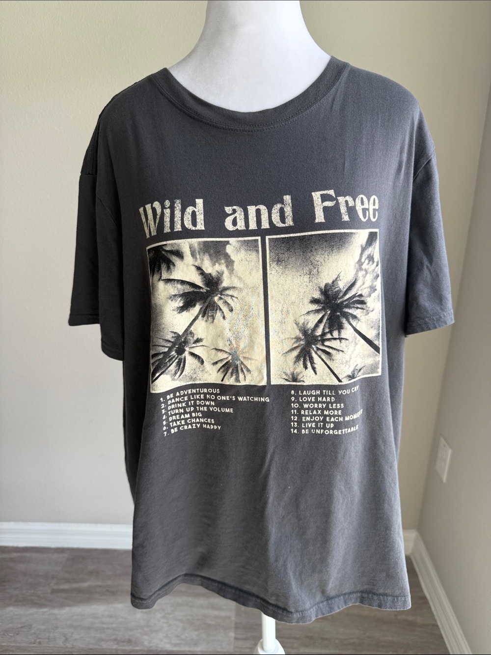 Wildfox women’s gray& cream teeshirt